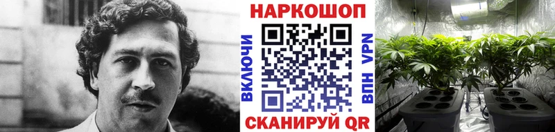 Где купить Иваново СК COCAIN ГАШ Мефедрон блэк спрут Марихуана Амфетамин